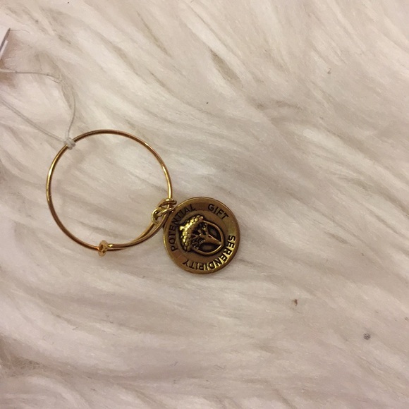 Alex and Ani expendable ring. - Picture 3 of 3